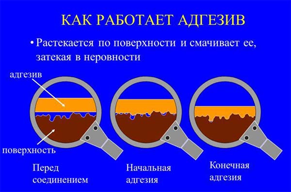 Словарь медицинских терминов для ранозаживляющих средств