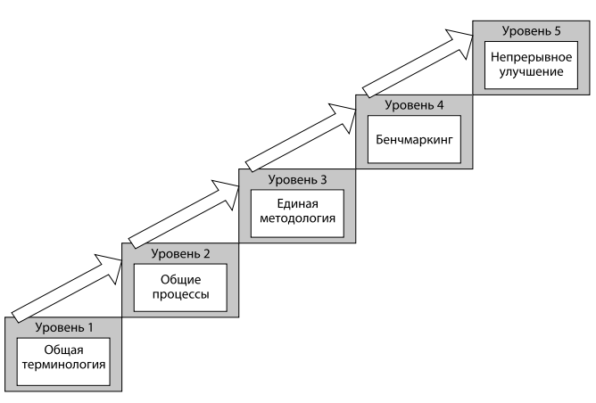 Модель зрелости организационного управления проектами PMMM Гарольда Керцнера